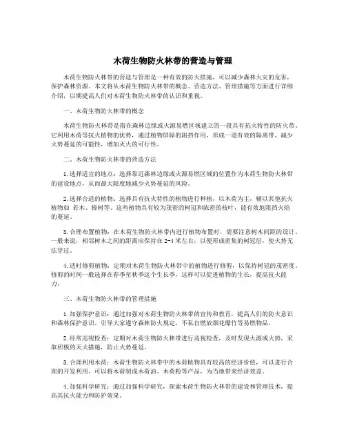 木荷生物防火林带的营造与管理 2