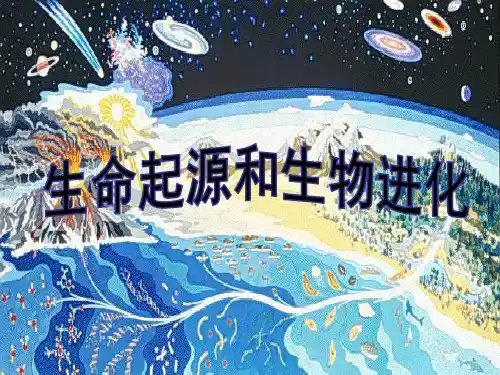 生命起源及生物进化