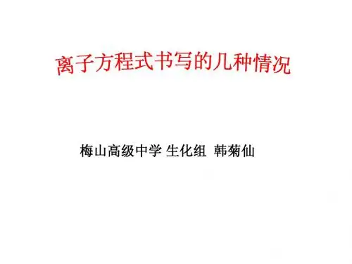 离子方程式书写的几种情况