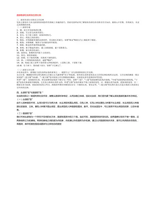面部各部位名称及五官比例