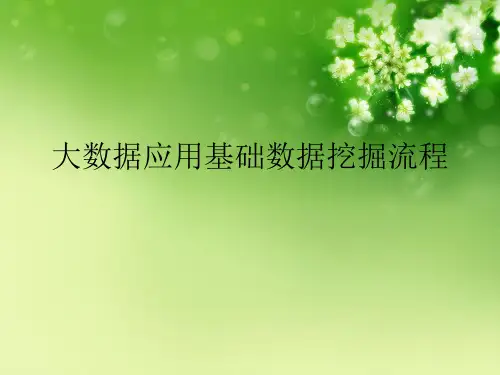 大数据应用基础数据挖掘流程