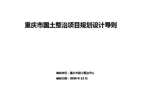 重庆市国土整治项目规划设计导则
