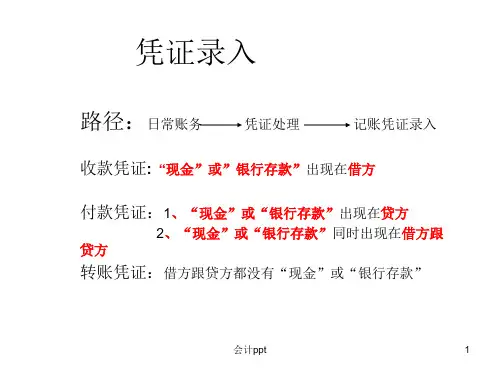 《会计电算化讲》PPT课件
