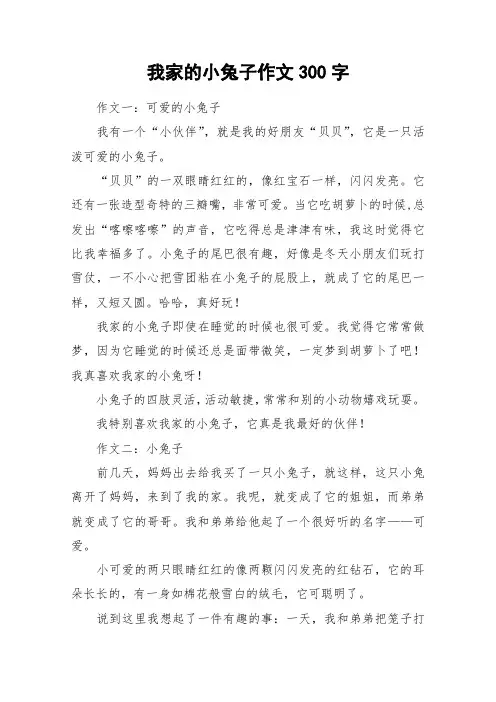 我家的小兔子作文300字_作文