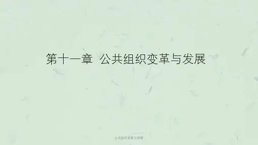 公共组织变革与发展课件