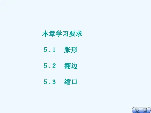 局部成形工艺及模具设计