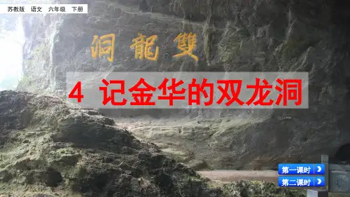 六年级下册语文课件-4 记金华的双龙洞_苏教版(共44张PPT)