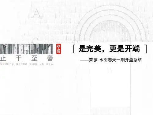 房地产经典开盘总结
