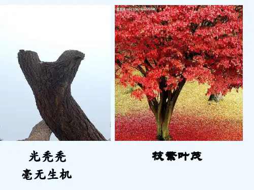 二年级小学扩句 ppt课件