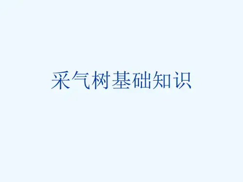 采气树基础知识[可修改版ppt]