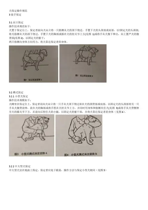犬保定方法