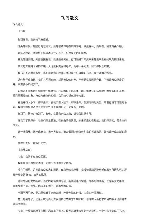 飞鸟散文——精选推荐
