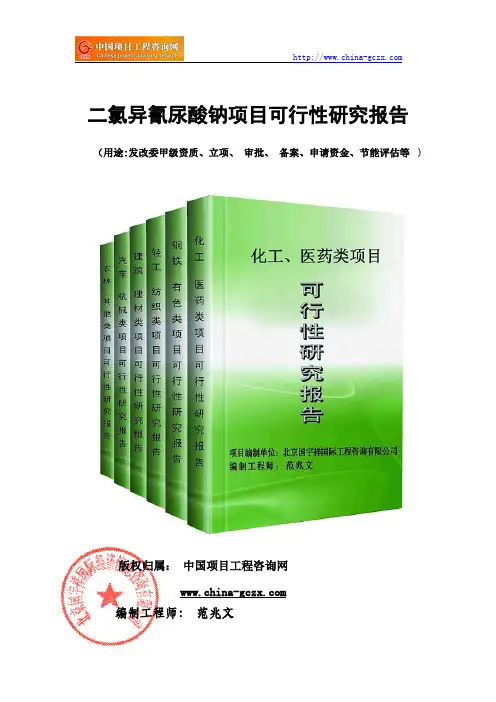 二氯异氰尿酸钠项目可行性研究报告(备案用案例)