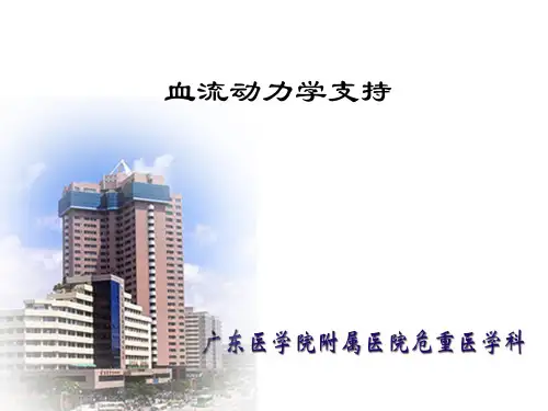 血流动力学支持ppt课件