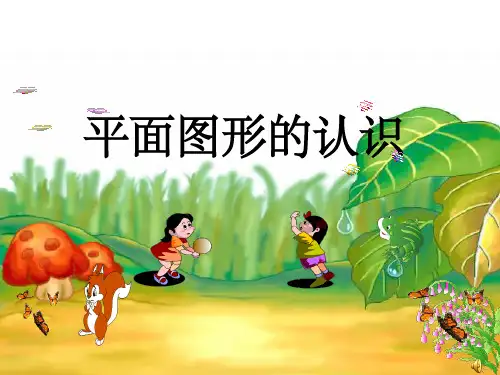 《认识物体和图形》ppt课件