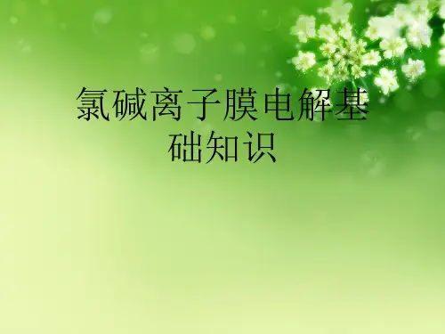氯碱离子膜电解基础知识优秀课件
