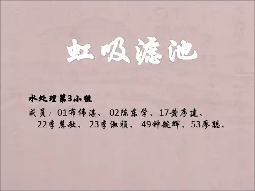 第三小组--虹吸滤池