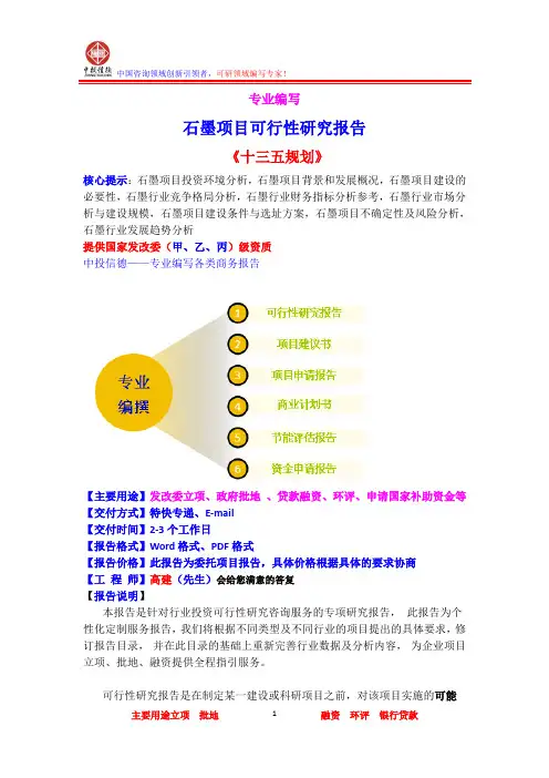 石墨项目可行性研究报告