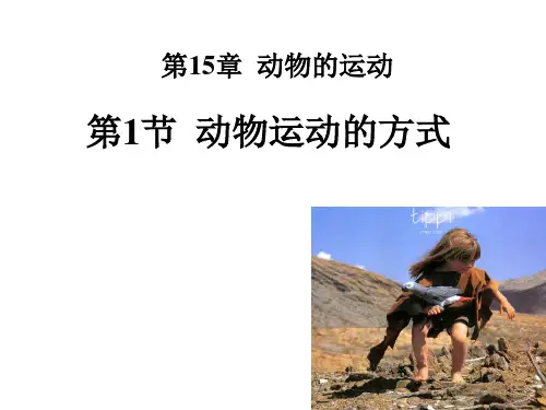 北师大版八年级生物上册5.15.1 动物运动的方式 (共23张PPT)