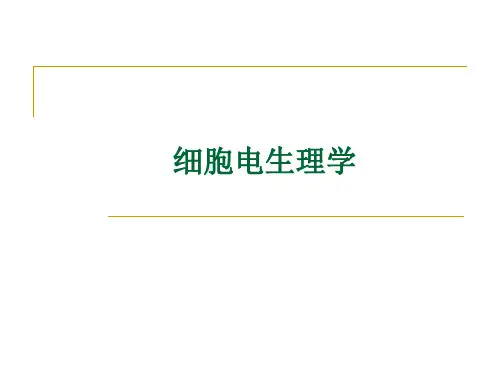 医学课件细胞电生理