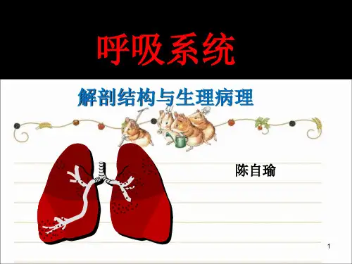 解剖生理课件--呼吸系统(非常好)
