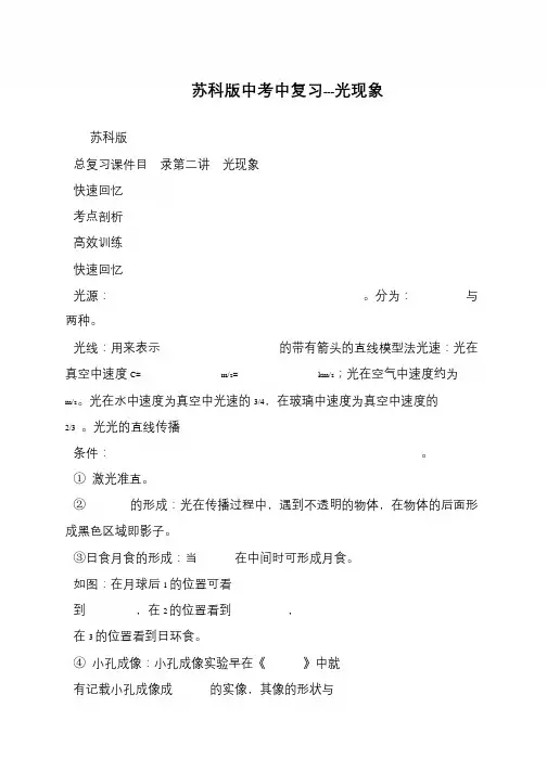 苏科版中考中复习---光现象