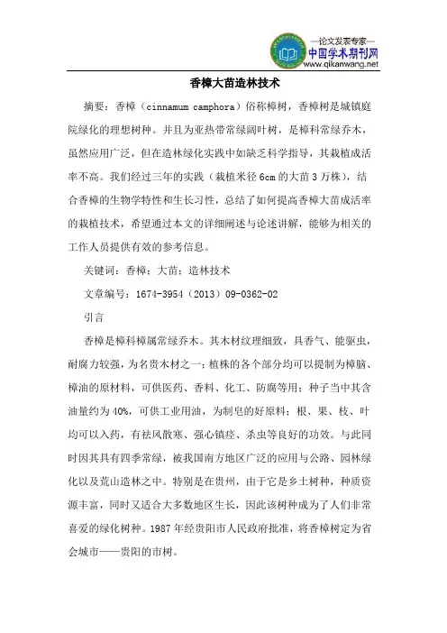 香樟大苗造林技术