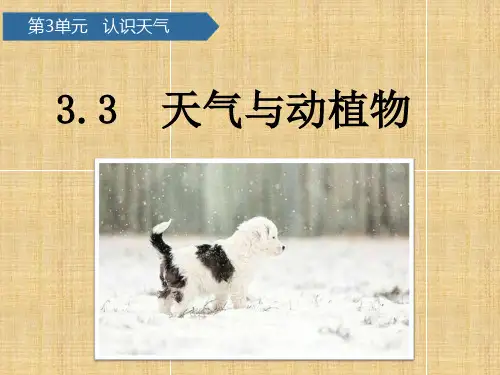 小学二年级科学下册 第三单元 认识天气 第9课 天气与动植物名师课件 青岛版五四制