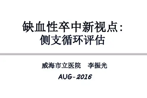 脑侧支循环评估PPT幻灯片