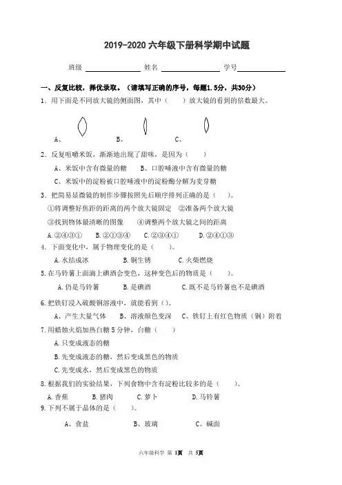 六年级下册科学试题   期中试题   教科版   含答案