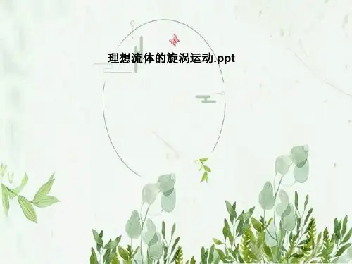 理想流体的旋涡运动