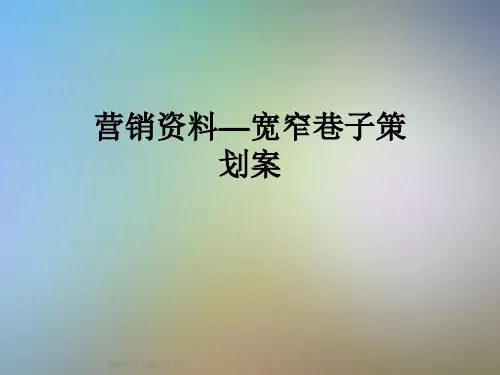 营销资料—宽窄巷子策划案