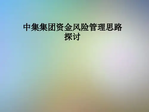 中集集团资金风险管理思路探讨