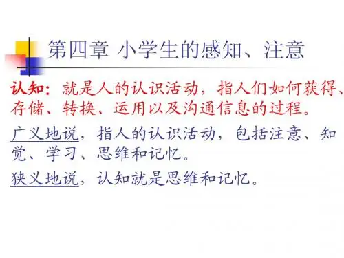 第四章_小学生的感知、注意