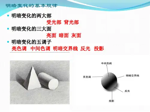 中间色调明暗交界线