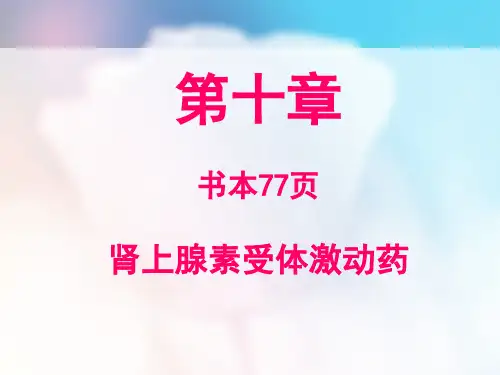 药理学 第十章 肾上腺素受体激动药精品PPT课件