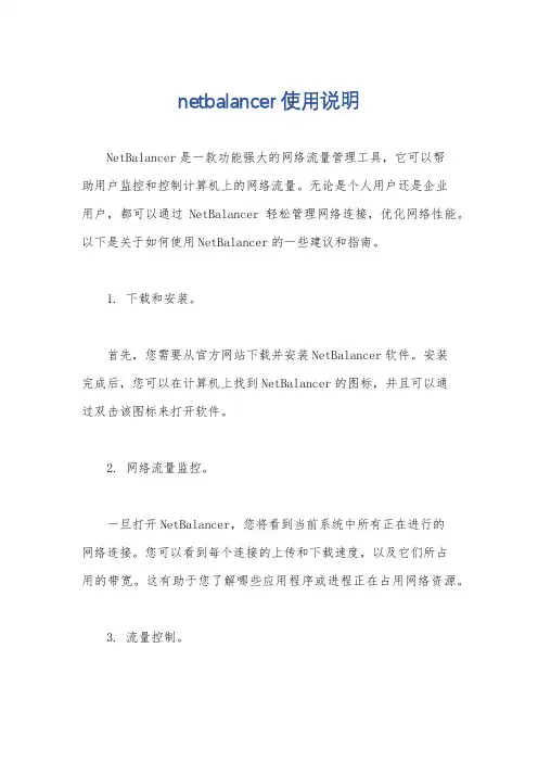 netbalancer使用说明