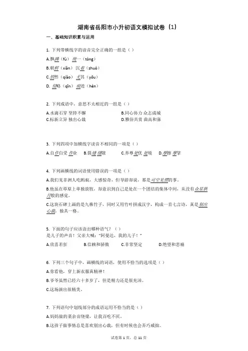 湖南省岳阳市小升初语文模拟试卷(1)有答案