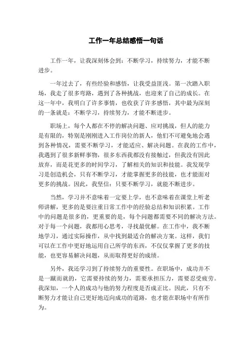 工作一年总结感悟一句话