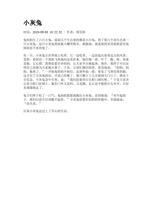 小灰兔