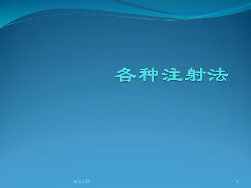 归纳各种注射法.ppt