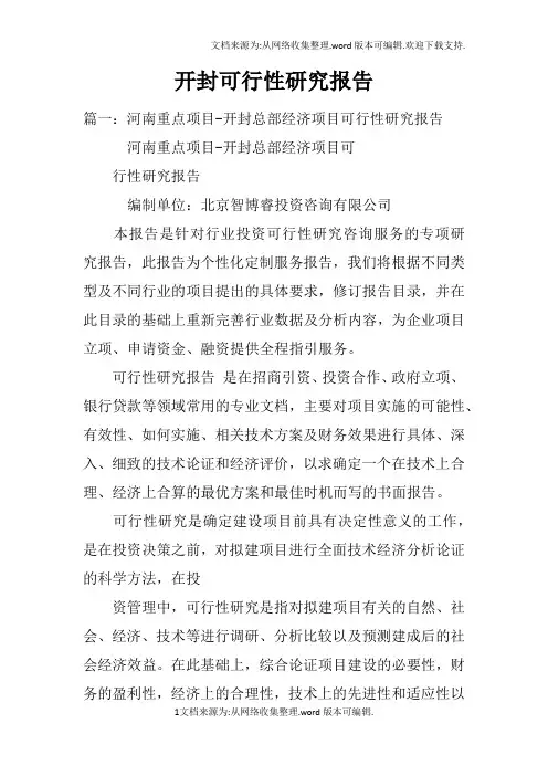 开封可行性研究报告doc