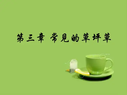 第三章 常见的草坪草