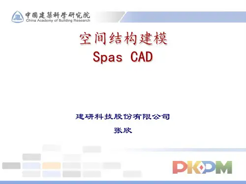 空间结构建模及分析软件spascad和pmsap_2