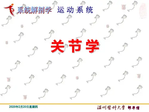 关节学PPT课件