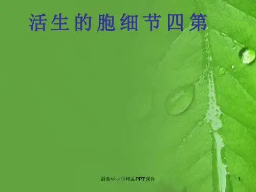 七年级生物上册第二单元第一章第四节细胞的生活第2课时课件新版新人教版