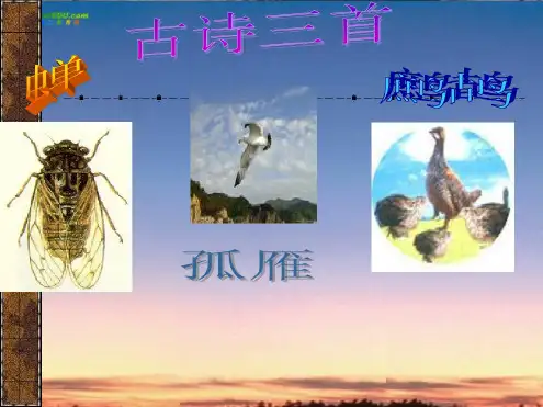 七年级语文下册《古诗三首》课件苏教版