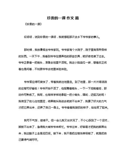 珍贵的一课 作文 篇