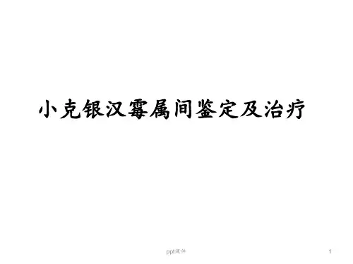 小克银汉霉属间鉴定及治疗  ppt课件