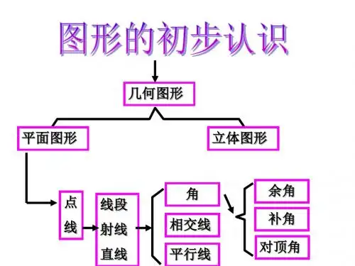 图形的初步认识复习--浙教版
